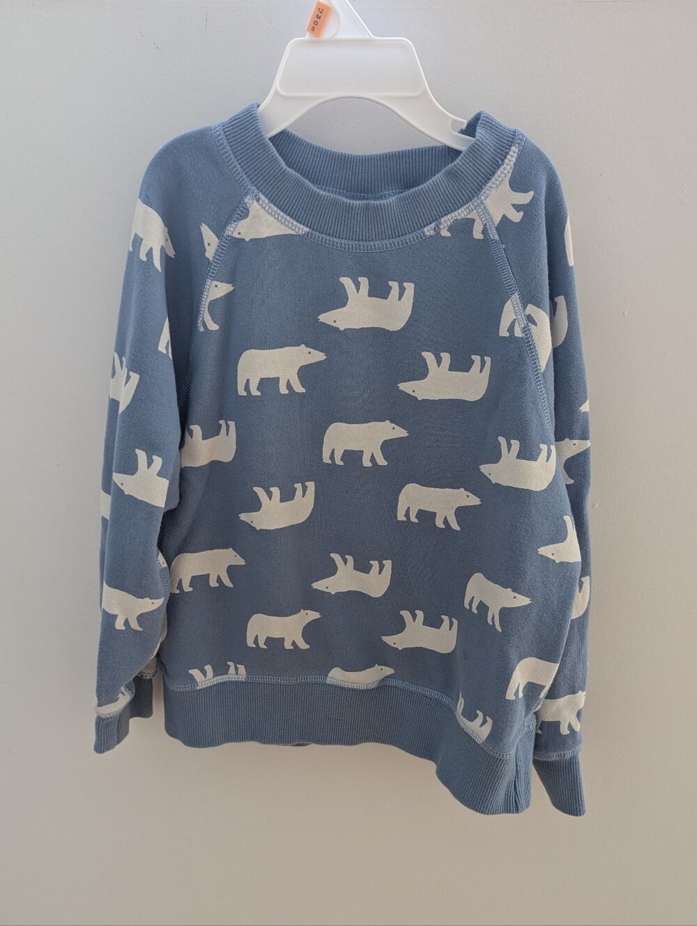 Kids Hanna Anderson Polar Bear Crewneck French Terry Cotton Sweatshirt